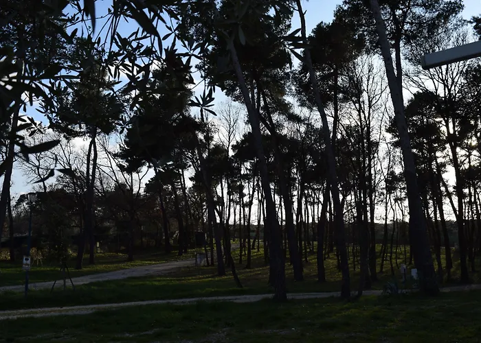 Camping Villaggio Bosco Selva