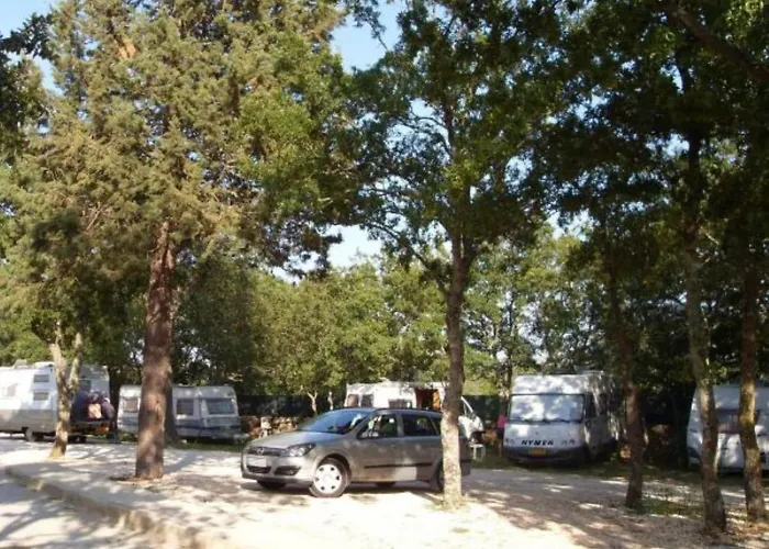 Camping Villaggio Bosco Selva 3*