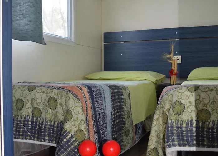 Villaggio Bosco Selva 3*
