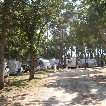 Villaggio Bosco Selva אתר קמפינג אלברובלו