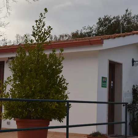 Villaggio Bosco Selva