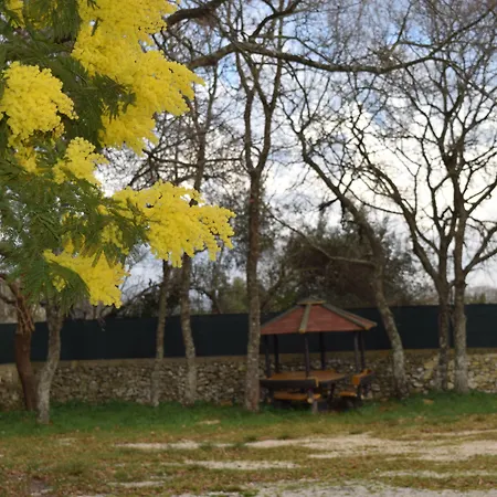 אתר קמפינג Villaggio Bosco Selva