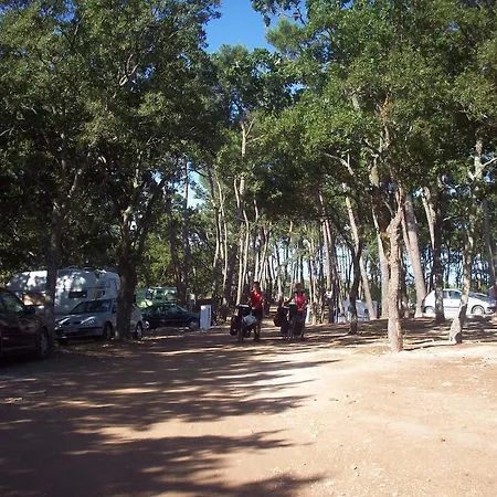 אתר קמפינג Villaggio Bosco Selva אלברובלו