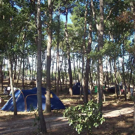 Villaggio Bosco Selva אלברובלו