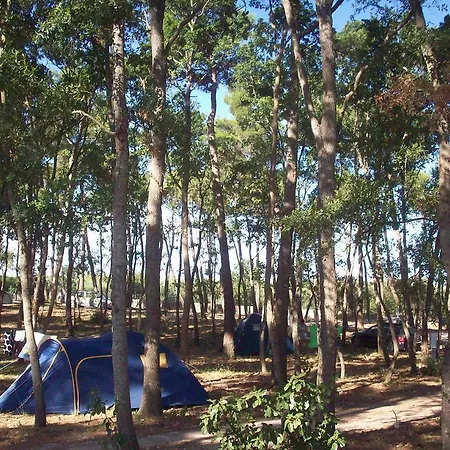 Villaggio Bosco Selva 3* אלברובלו