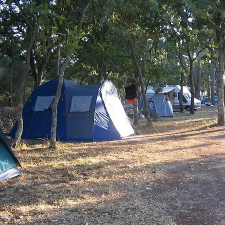 Villaggio Bosco Selva 3*