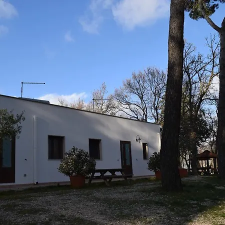 Villaggio Bosco Selva אתר קמפינג 3*