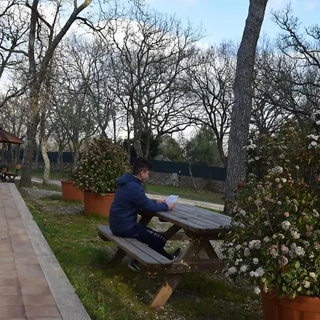 Villaggio Bosco Selva 알베르벨로