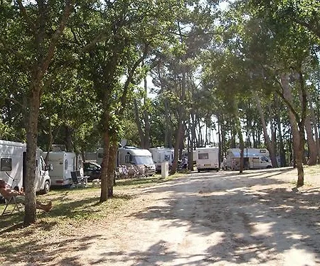 Villaggio Bosco Selva