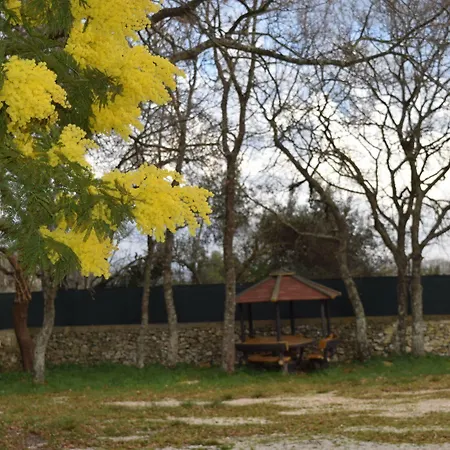 Villaggio Bosco Selva 3*
