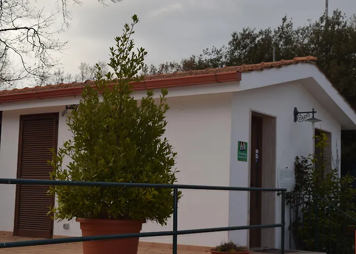 Villaggio Bosco Selva