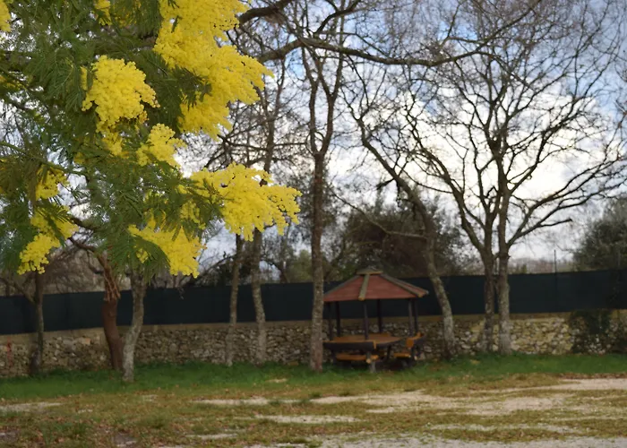 Kemp Villaggio Bosco Selva