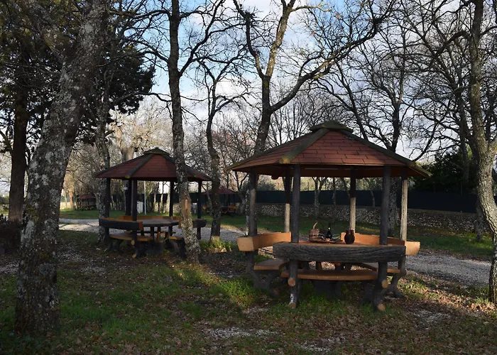 Villaggio Bosco Selva